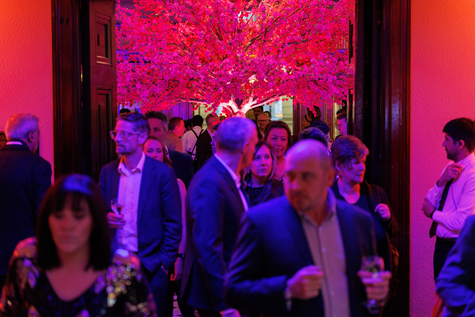 Pink blossom tree canopy above guests at a TAS gala reception